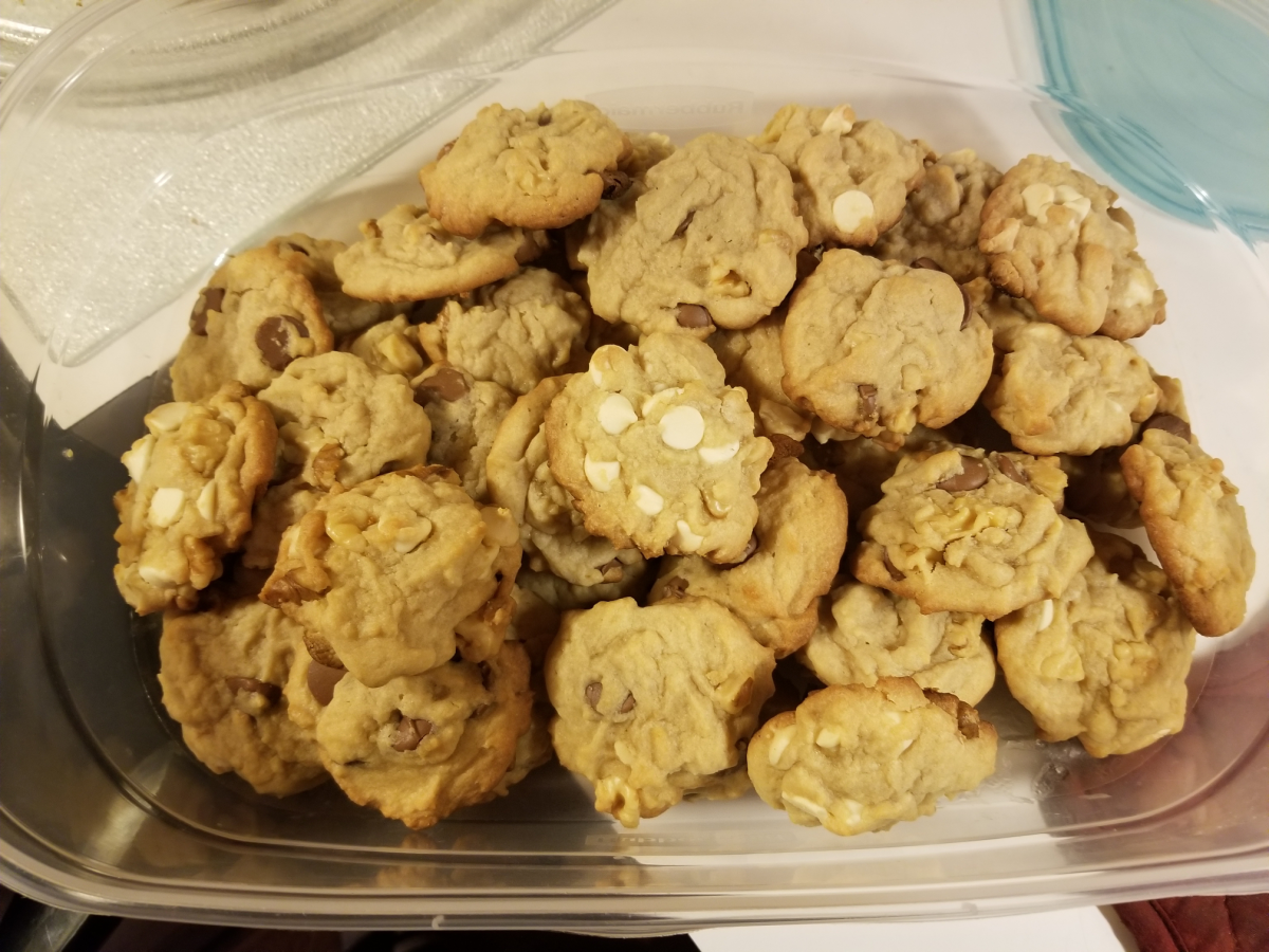 Chocolate Chip Walnut Cookies Recipe